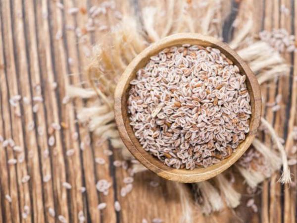 Še ne povsem odkrita moč psiliuma in vojna proti kandidi